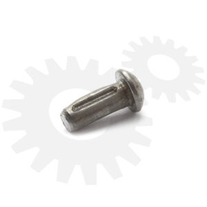 Rivet